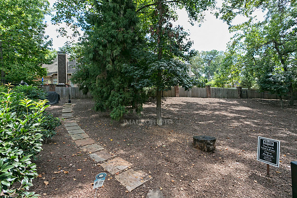Common Area-2