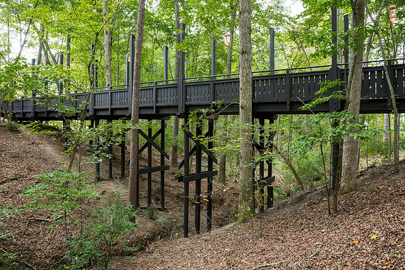 Serenbe Bridge-41-Edit