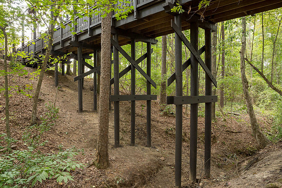 Serenbe Bridge-42-Edit