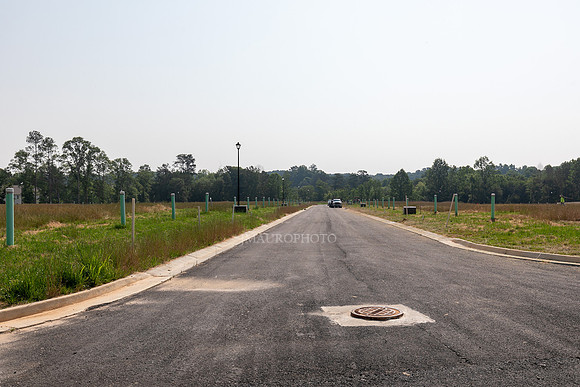 Carlton Crossing-35