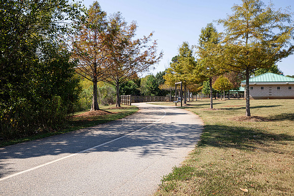 Rabit Hill Park-5
