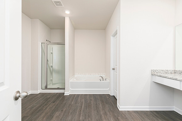 Master Bathroom-1