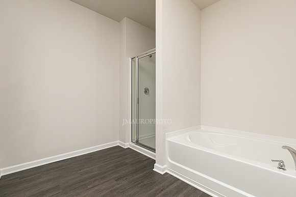 Master Bathroom-2