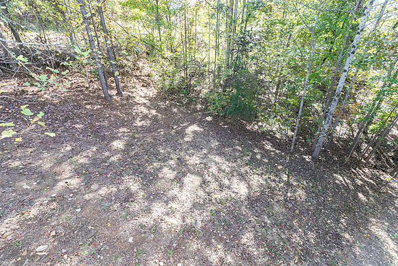 281 Cottonwood Loop-23