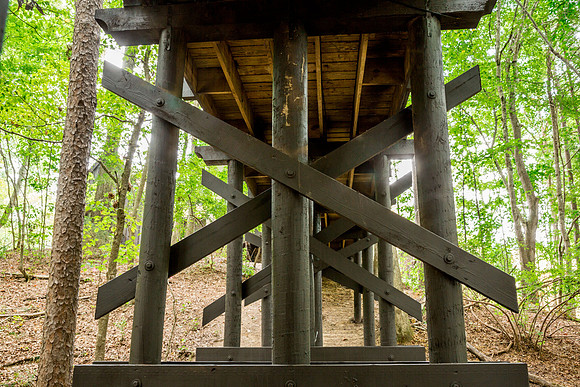 Serenbe Bridge-45
