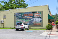 Cave Spring-1
