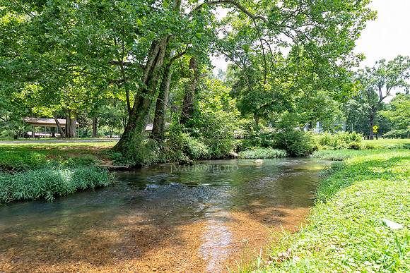 Cave Spring-24