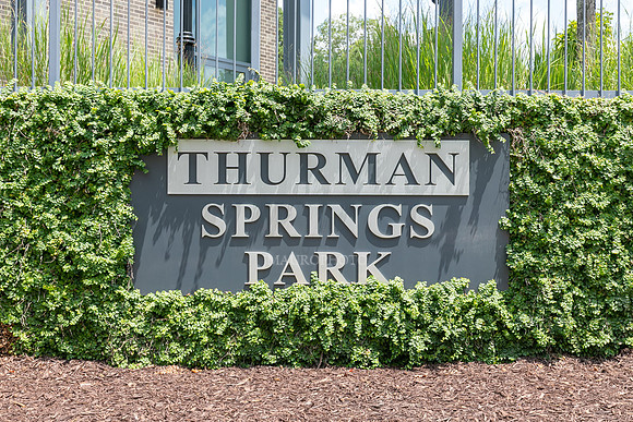 Thurman Springs Pk-1