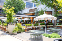 Buckhead-7