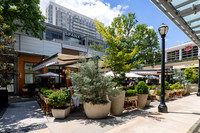 Buckhead-9