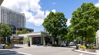 Buckhead-13
