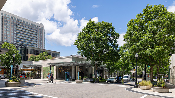 Buckhead-13