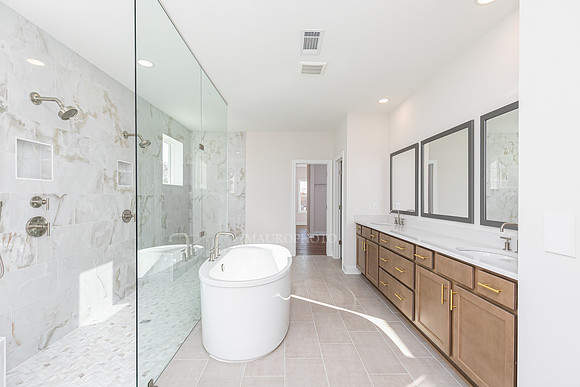 Rosewater Transitional-40