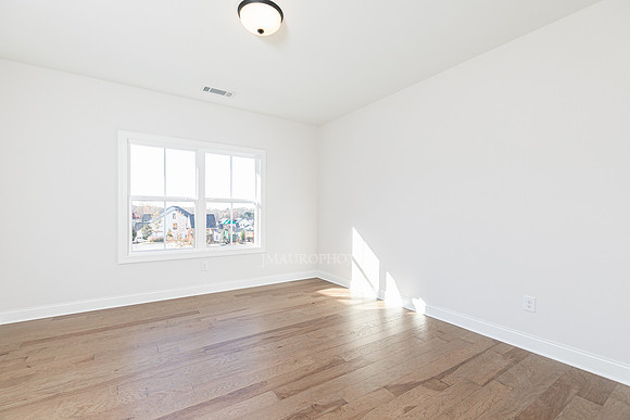 Rosewater Transitional-48