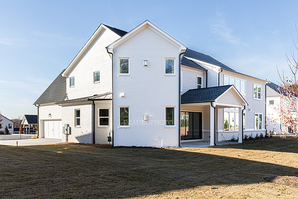 Rosewater Transitional-58