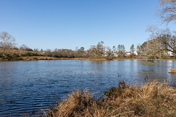 Cagle Lake-3