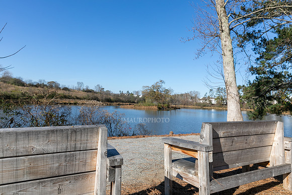 Cagle Lake-4