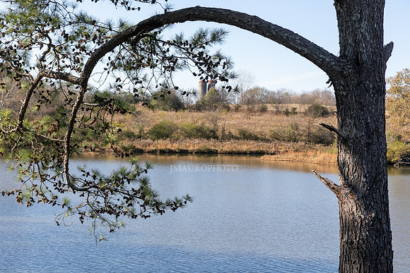 Cagle Lake-5