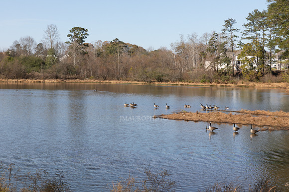 Cagle Lake-6