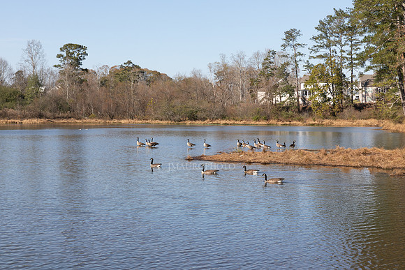 Cagle Lake-7
