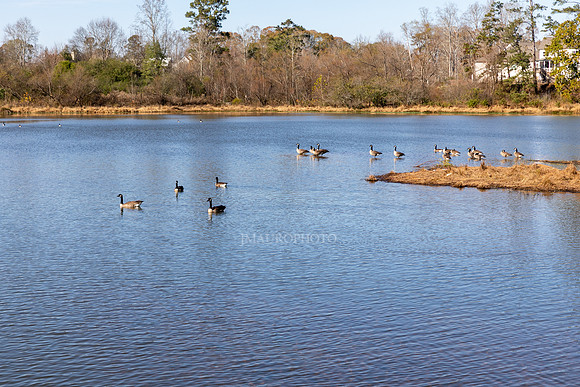 Cagle Lake-9