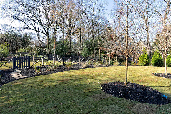 Back Yard-1
