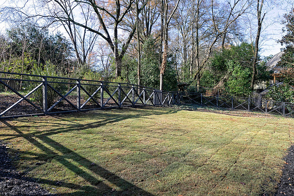 Dog Park-1