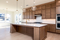 Hedgerow Transitional-15