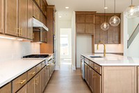 Hedgerow Transitional-17