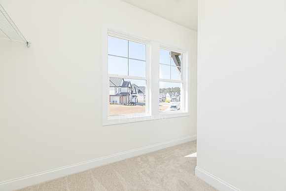 Hedgerow Transitional-35