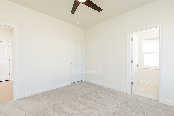 Hedgerow Transitional-44