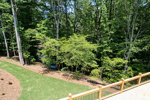 Back Yard-3