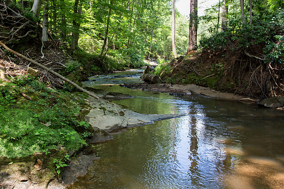 Sewell Mill Creek-2