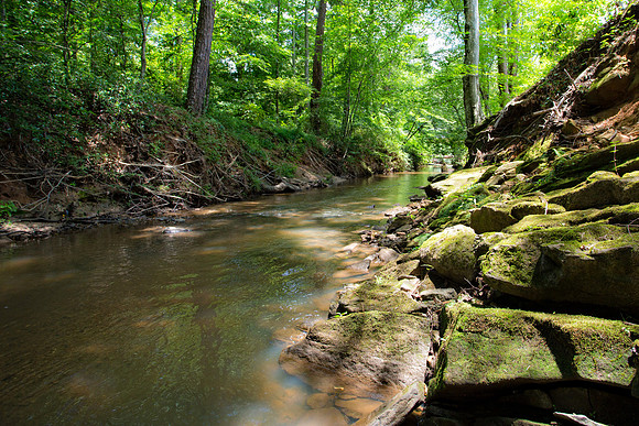 Sewell Mill Creek-3