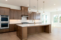 Hedgerow Transitional-14