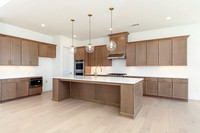 Hedgerow Transitional-16