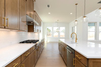 Hedgerow Transitional-19