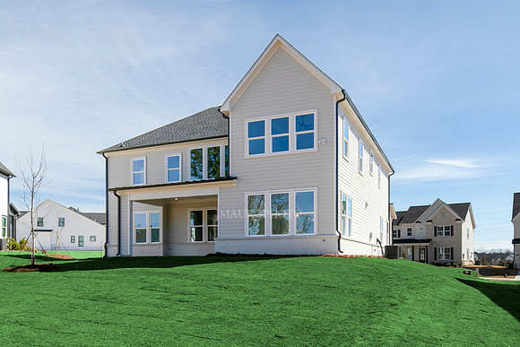 Hedgerow Transitional-45
