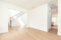 Hedgerow Transitional-5