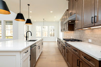 Hedgerow Transitional-7