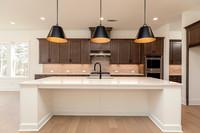 Hedgerow Transitional-10
