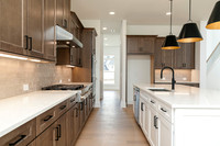 Hedgerow Transitional-13