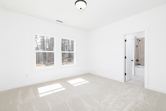 Hedgerow Transitional-36