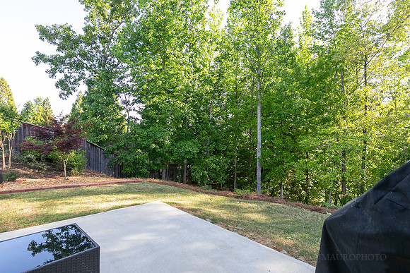 129 Unicoi Way-37