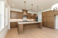 Hendricks Transitional-13