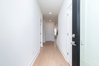 Druid Grand Transitional-8