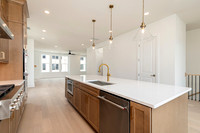 Druid Grand Transitional-12