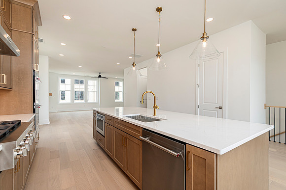 Druid Grand Transitional-12