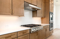 Druid Grand Transitional-13