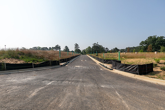 Carlton Crossing-4